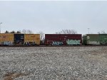 IBT 300262
